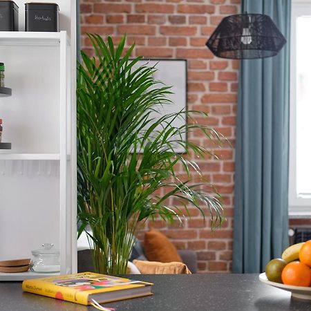 Mikroklimatyczny Apartament Dla 4 Osob - Blisko Szlakow, W Centrum 스클라르스카포렘바 외부 사진